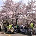 2018.5.1　農試公園へお花見