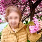 2026.5　絢爛豪華な八重桜
