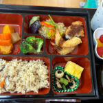 2026.5　恒例のお花見弁当