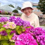 2026.7　紫陽花も見ごろに
